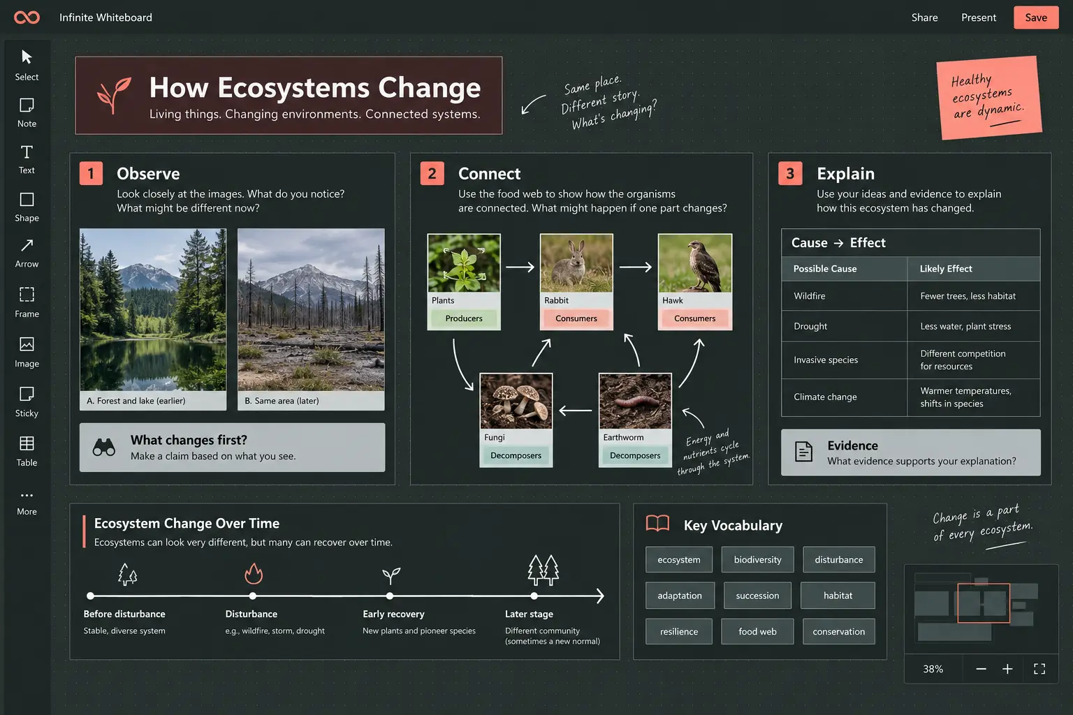 A visual science lesson organized into observe, connect, and explain sections with an ecosystem diagram